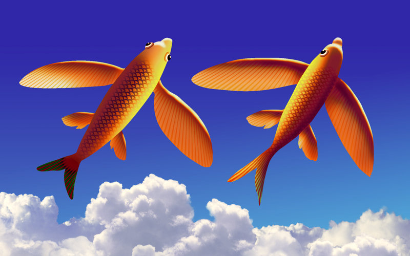 Flying fish