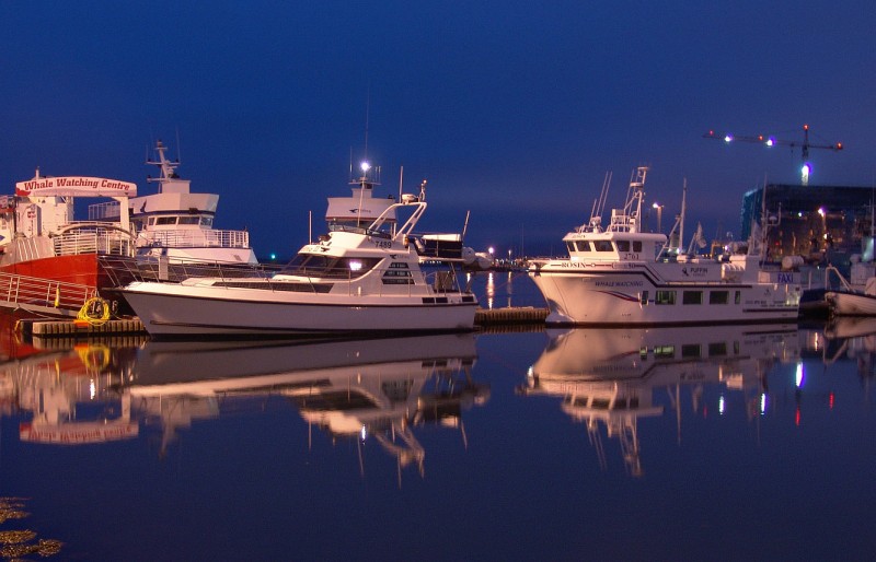 Reykjavik harbor