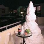 111230_snow_tree