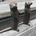 120219_pdx_beavers