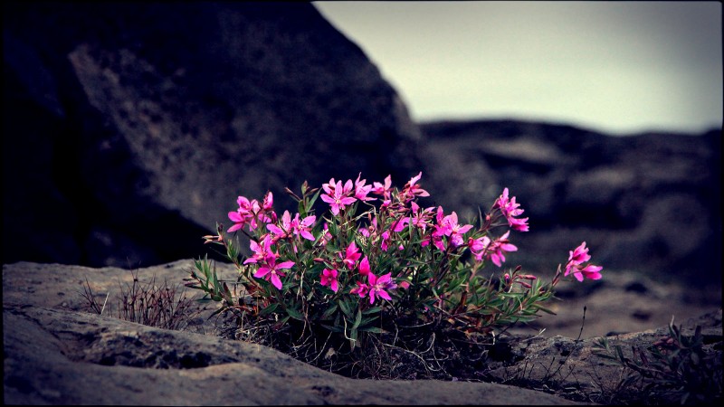 120720_8393F2_dettifoss