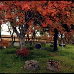 121002_9287_church