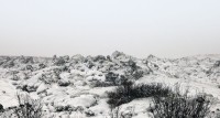 130203_2082_snow