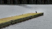 130511_2939_harbor