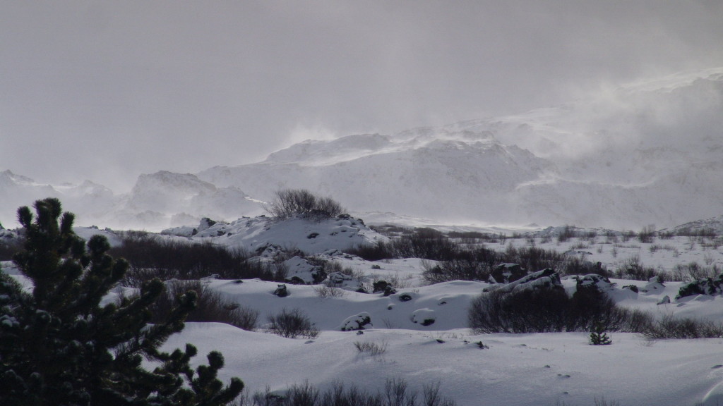 , Copyright © Ruslendingur,  Iceland, Helgafell, Heidmork; 