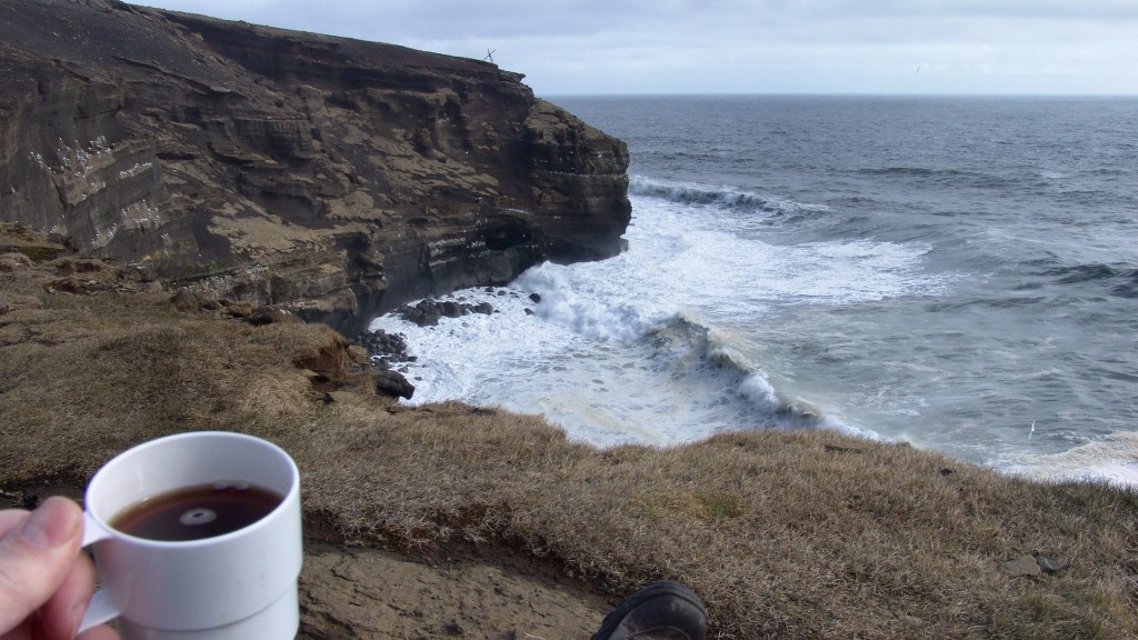 Iceland, ruslendingur, Haelsvik