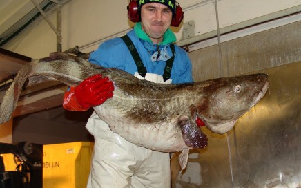 Fishing, Iceland style