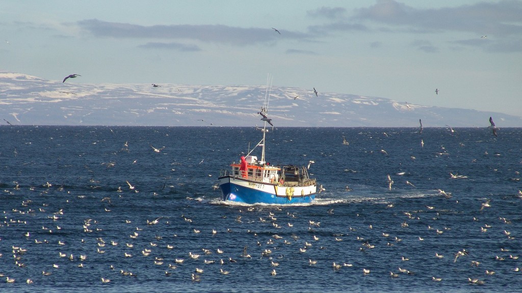 Drangsnes, Grasleppur